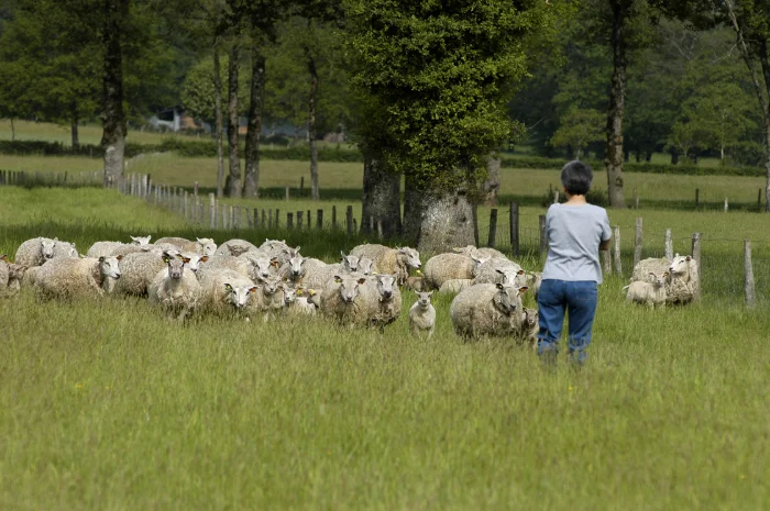 1ère ferme d'Europe