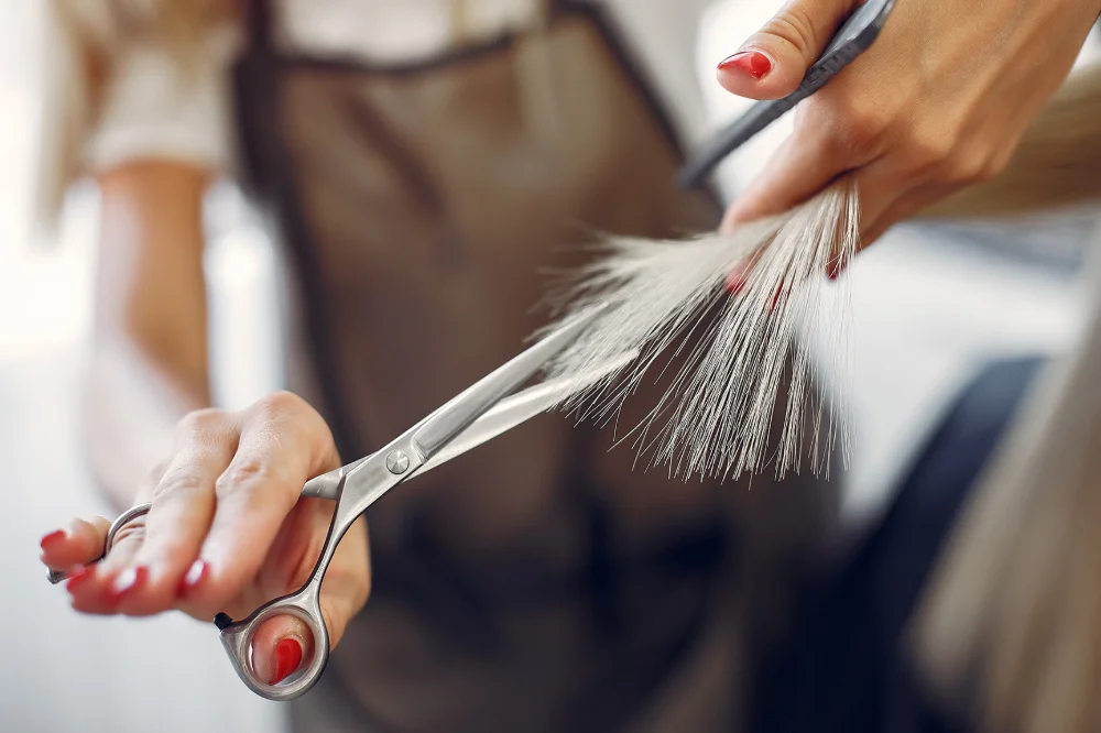 hairdresser-cut-hair-her-client-hair-salon.jpg